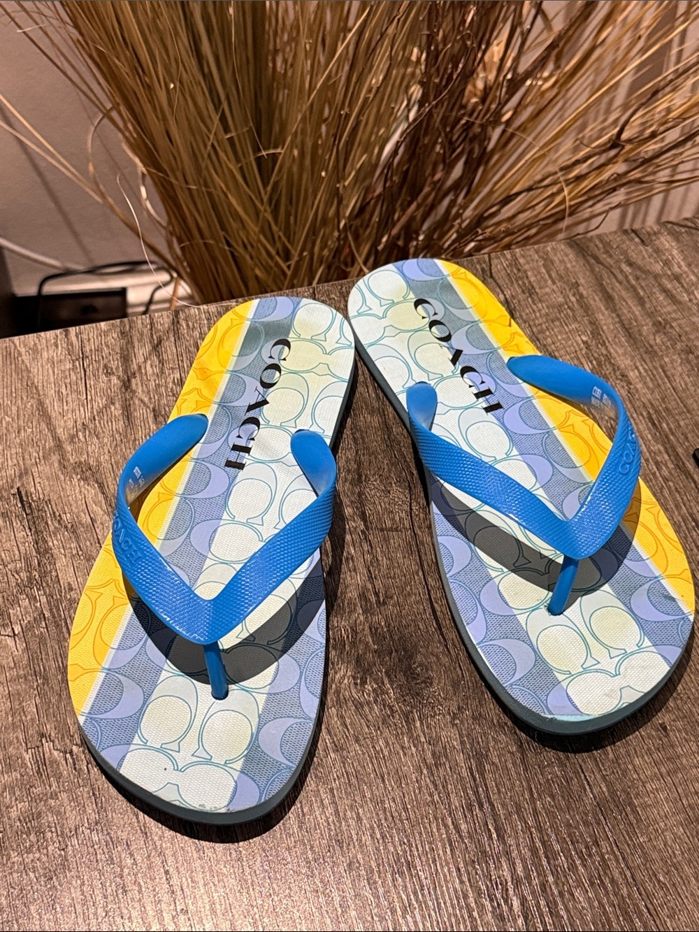 Coach Blue Yellow Signature Print Flip Flops